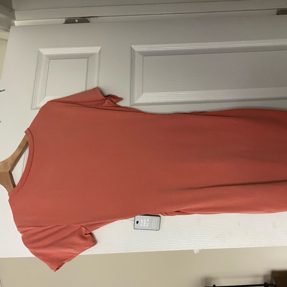 Express Dress Rouche - Picture 4 of 4